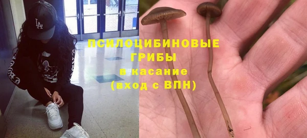 spice Магас