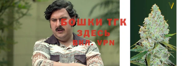 spice Магас