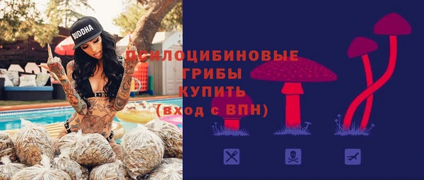 spice Магас