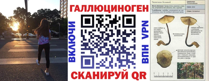 Псилоцибиновые грибы Psilocybe  Купить закладки  Гусь-Хрустальный 